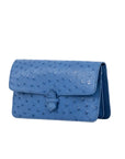 Accordion Crossbody Wallet