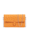 Accordion Crossbody Wallet