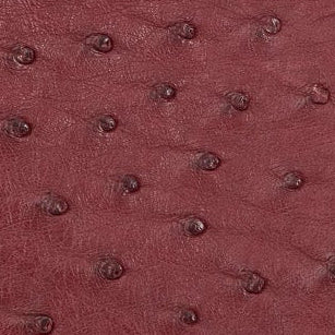 Medium Kai in Cerise Ostrich