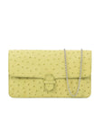 Accordion Crossbody Wallet