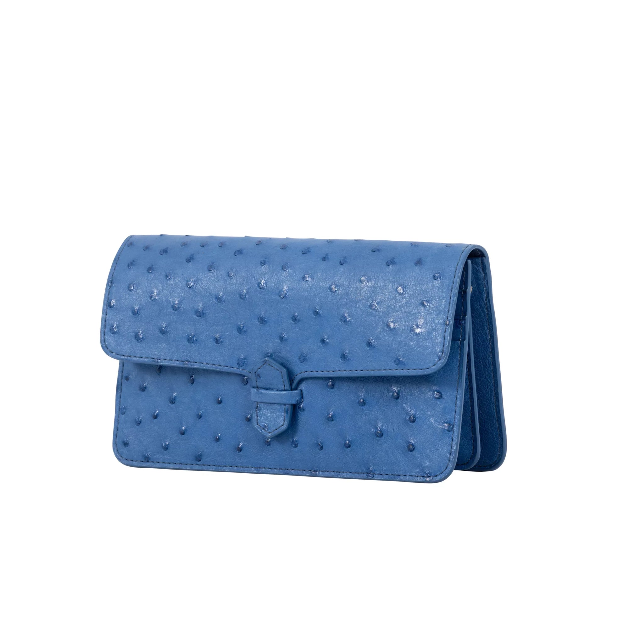 Accordion Crossbody Wallet