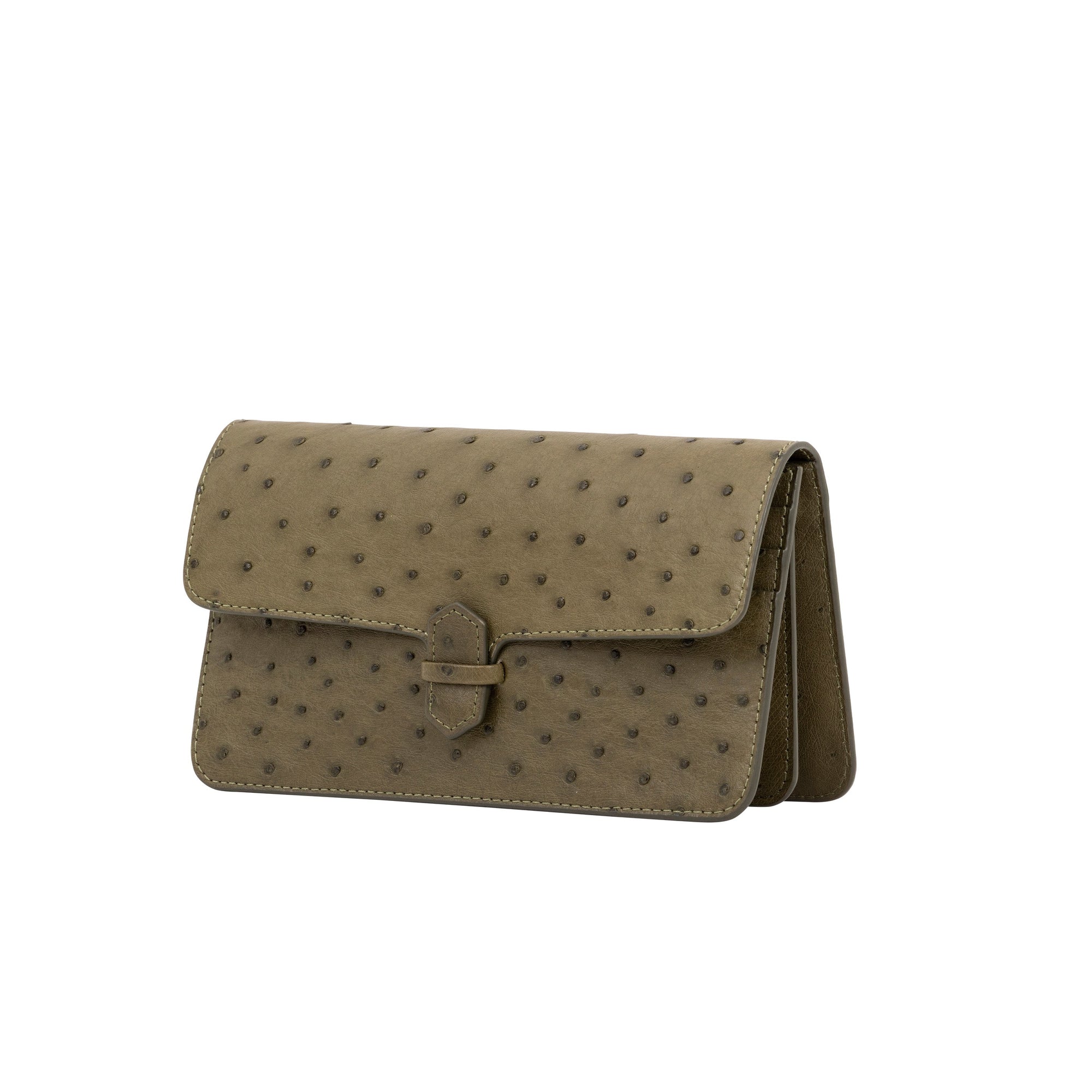 Accordion Crossbody Wallet