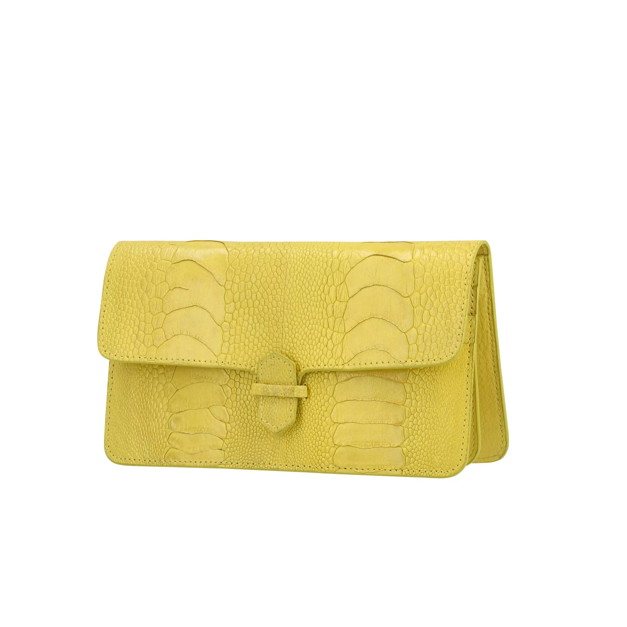 Accordion Crossbody Wallet