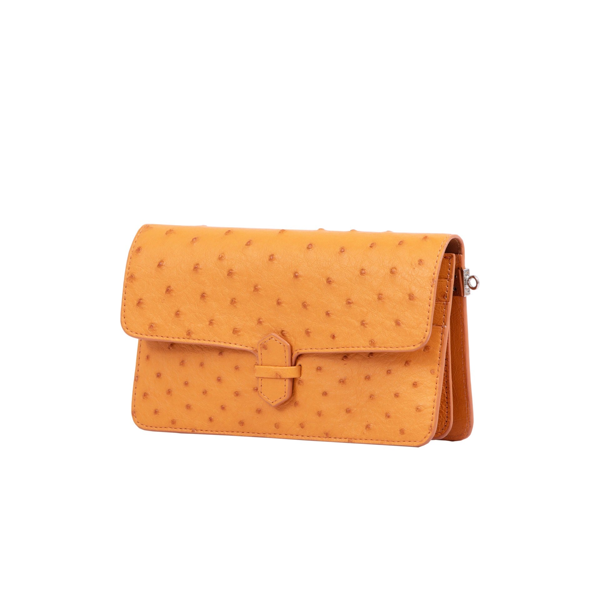 Accordion Crossbody Wallet