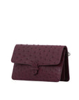 Accordion Crossbody Wallet